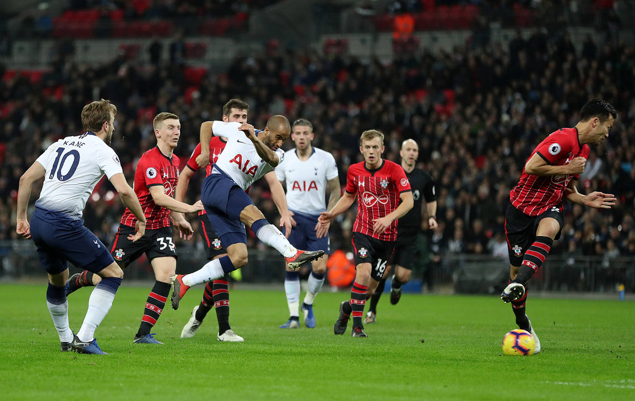 血统证明以 血统证明以